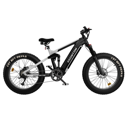 Full-Suspension Fat Tire SR6