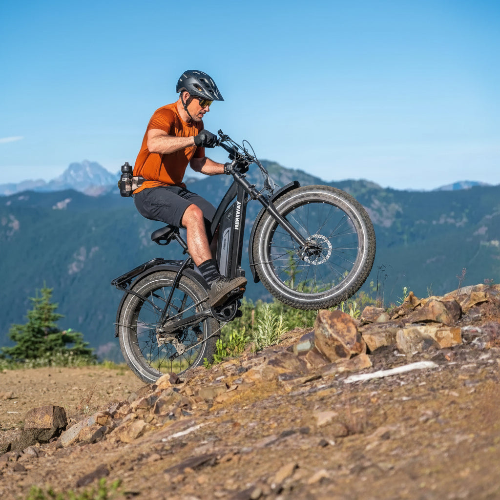 D3(Cruiser) / Long Range Fat Tire Electric Bike