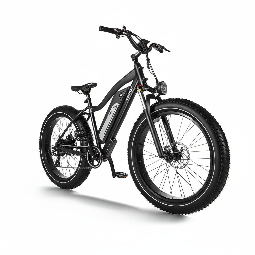 D3(Cruiser) / Long Range Fat Tire Electric Bike