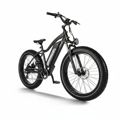 D3(Cruiser) / Long Range Fat Tire Electric Bike