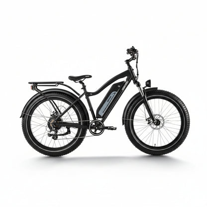 D3(Cruiser) / Long Range Fat Tire Electric Bike