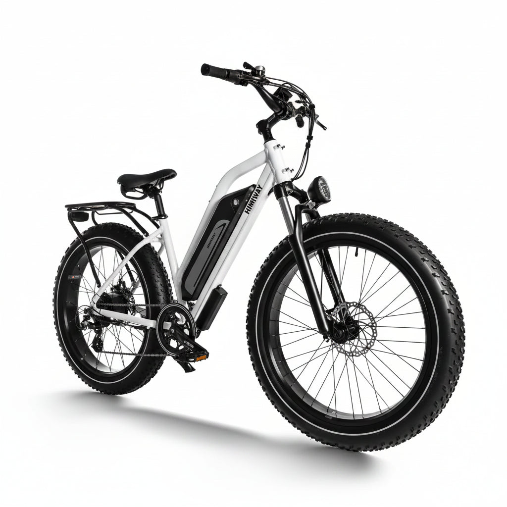 D3(Cruiser) / Long Range Fat Tire Electric Bike