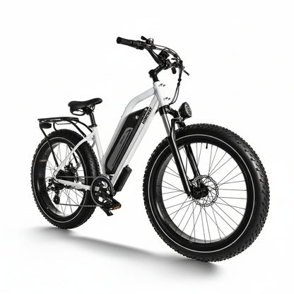 D3(Cruiser) / Long Range Fat Tire Electric Bike