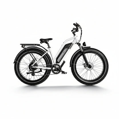 D3(Cruiser) / Long Range Fat Tire Electric Bike