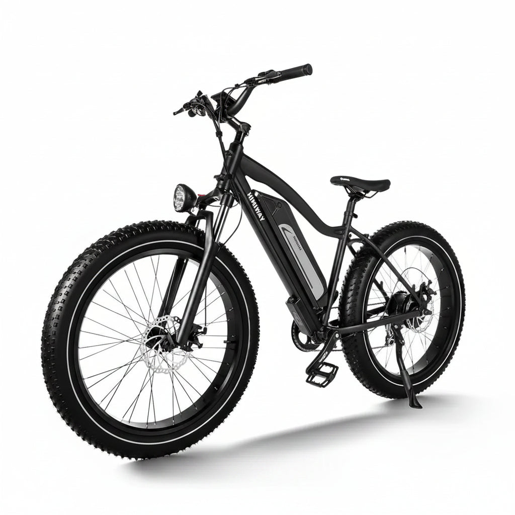 D3(Cruiser) / Long Range Fat Tire Electric Bike