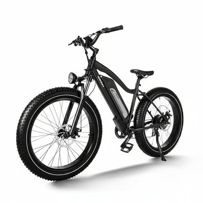 D3(Cruiser) / Long Range Fat Tire Electric Bike