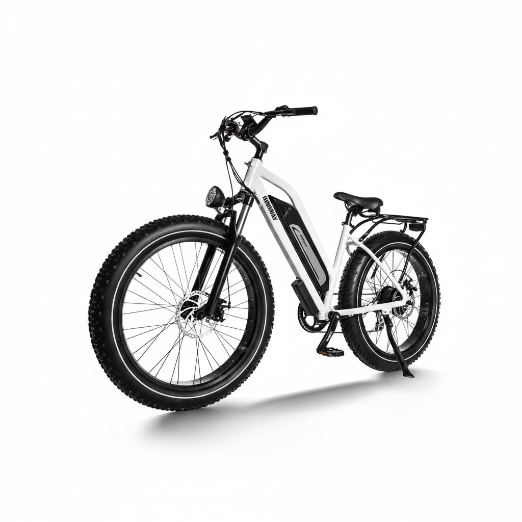 D3(Cruiser) / Long Range Fat Tire Electric Bike