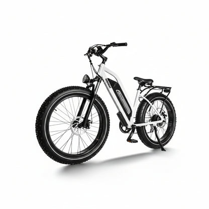 D3(Cruiser) / Long Range Fat Tire Electric Bike