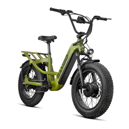 Revolt AWD Step Thru Bike