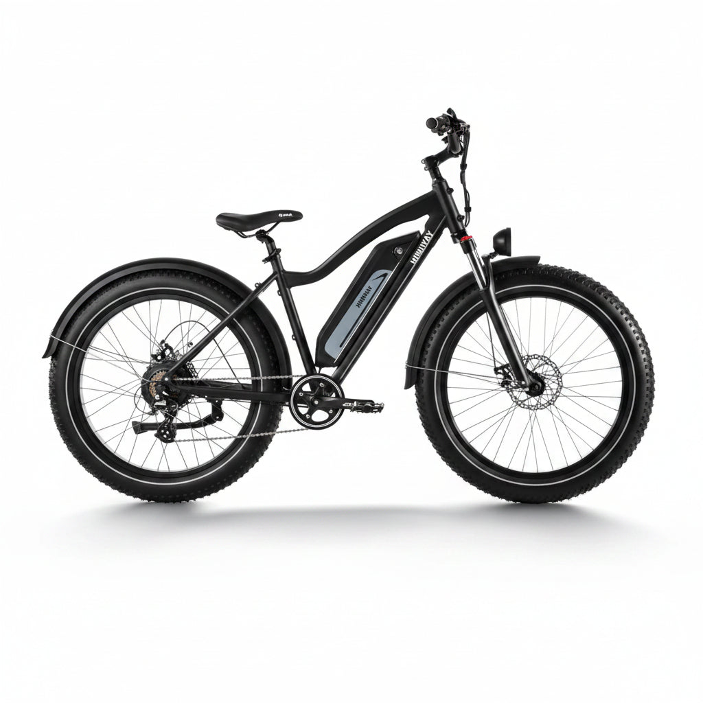 D3(Cruiser) / Long Range Fat Tire Electric Bike