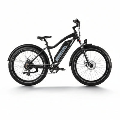 D3(Cruiser) / Long Range Fat Tire Electric Bike