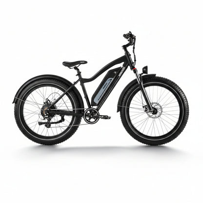 D3(Cruiser) / Long Range Fat Tire Electric Bike