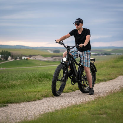 D3(Cruiser) / Long Range Fat Tire Electric Bike